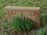 image of grave number 192107